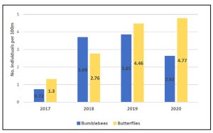 Graph monitoring bumblebees and butterflies