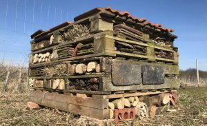 Bug hotel