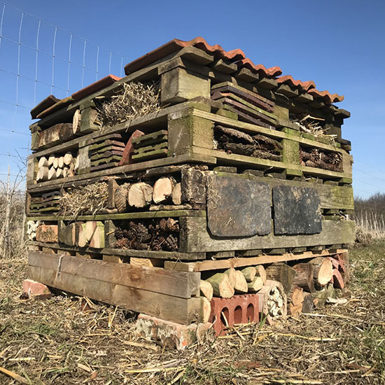 a bug hotel